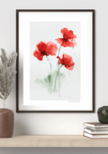 Red Poppy Wall Art – Watercolour Print - original art